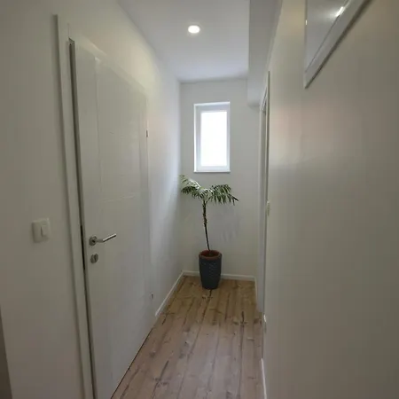 Apartment Flower With Free Onsite Parking *